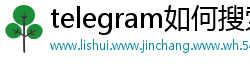 telegram如何搜索频道